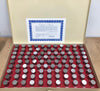 Fowler 53-881-750 PLUS Pin Gage Set, 19.00mm-20.98mm *NEW - Open Box Item*